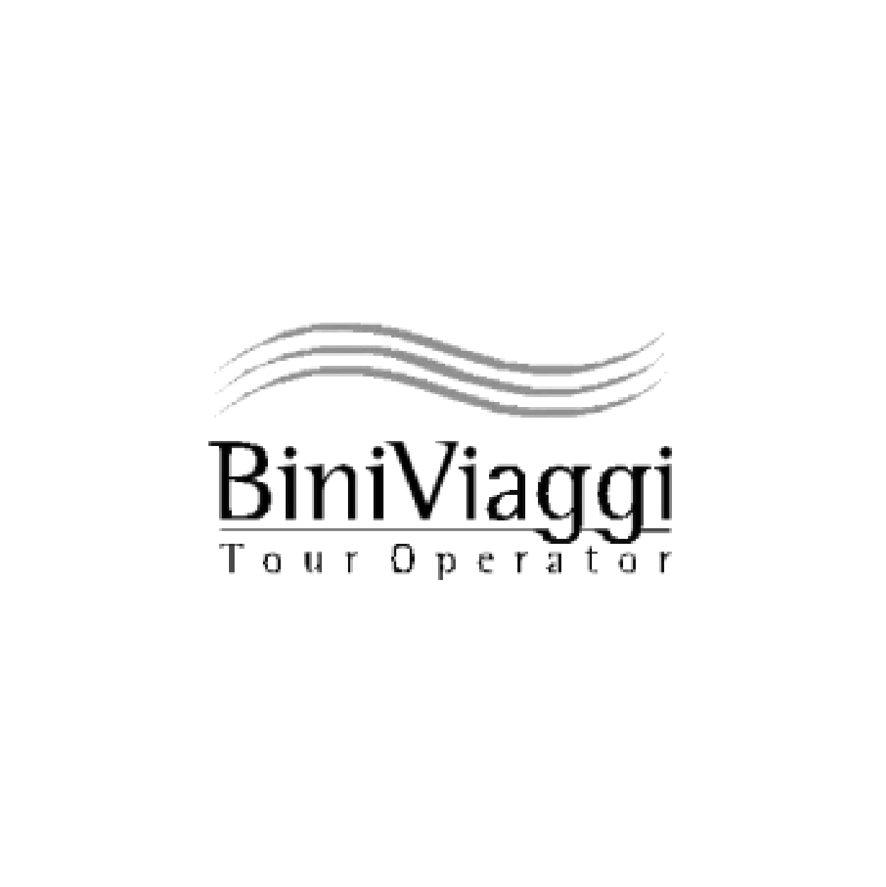 Advertising BiniViaggi | Ad.One Agenzia di comunicazione